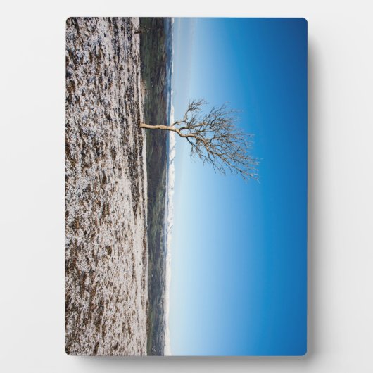 Tree Scout Scar Old Man of Conistonバックグラウンド フォトプラーク (正面)