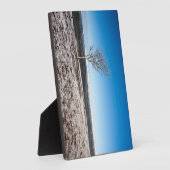 Tree Scout Scar Old Man of Conistonバックグラウンド フォトプラーク (側面)