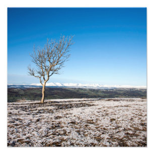 Tree Scout Scar Old Man of Conistonバックグラウンド フォトプリント