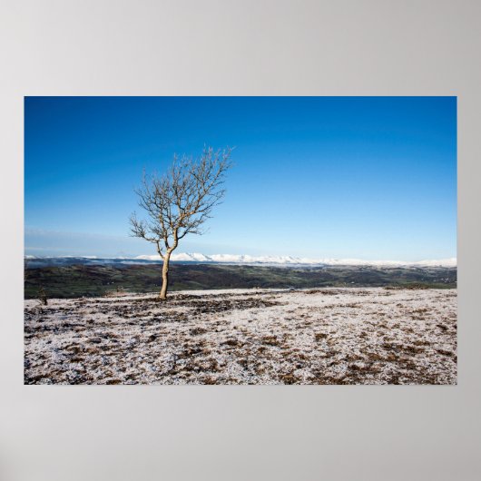 Tree Scout Scar Old Man of Conistonバックグラウンド ポスター (正面)