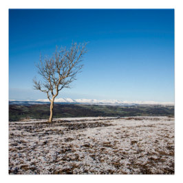 Tree Scout Scar Old Man of Conistonバックグラウンド ポスター