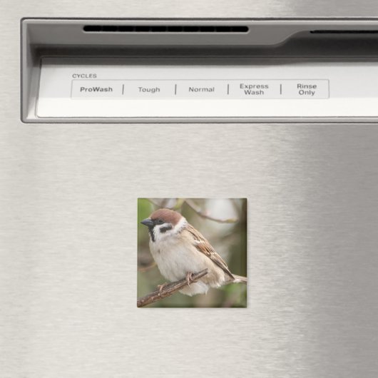tree_sparrow マグネット (インサイチュ (食洗機))