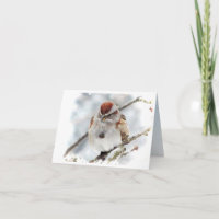 Tree Sparrow Thank