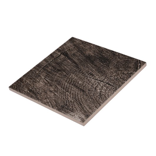 Tree Stump タイル (側面)