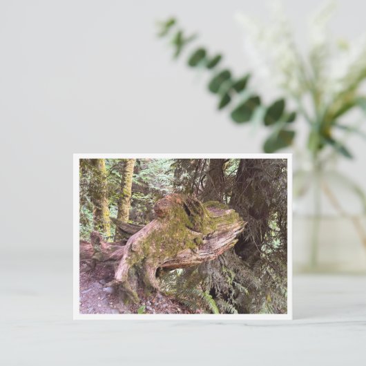 Tree stump ポストカード (スタンド正面)