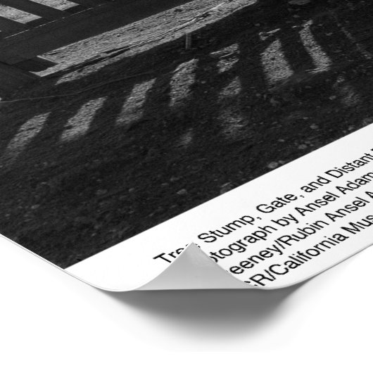 Tree Stump, Gate, and Distant Barn, March 1962 ポスター (角)