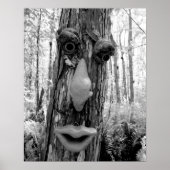 Tree troll on a Big Cypress tree. ポスター (正面)