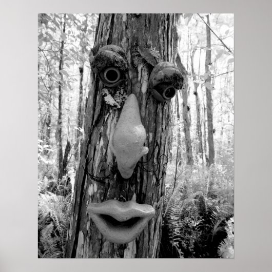 Tree troll on a Big Cypress tree. ポスター (正面)