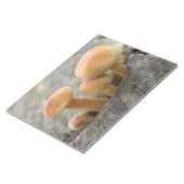 Tree Trunkメモ帳のツール ノートパッド (アングル)