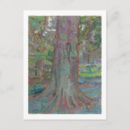 Tree Trunk, 1916 (キャンバス上の油) ポストカード (正面)
