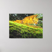 Tree Trunk in Lush Moss - キャンバスプリント (正面)