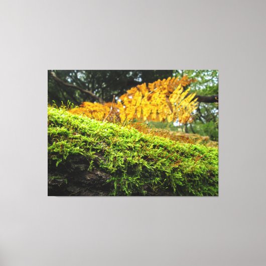 Tree Trunk in Lush Moss - キャンバスプリント (正面)