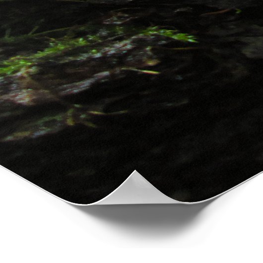 Tree Trunk in Lush Moss - Personalised ポスター (角)