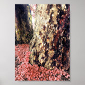 tree trunks ポスター (正面)