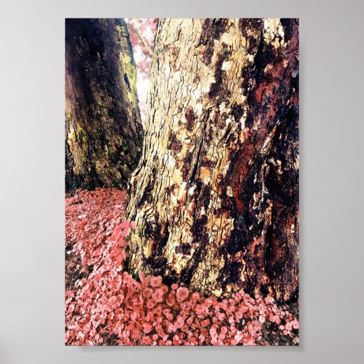 tree trunks ポスター (正面)