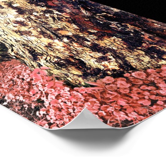 tree trunks ポスター (角)