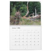 Tree trunks uprooted - dead - felled カレンダー (1月 2026)