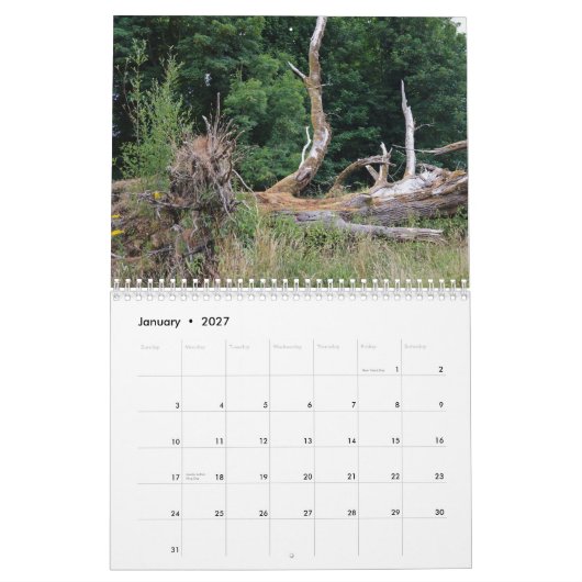 Tree trunks uprooted - dead - felled カレンダー (1月 2027)