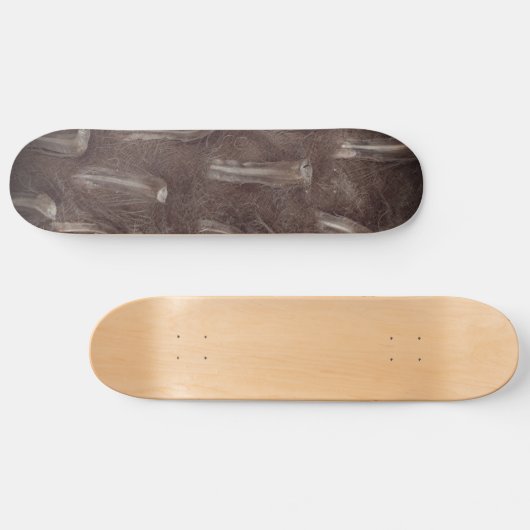 Tree Tusks Skateboard スケートボード (横)