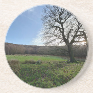 Tree view.. コースター