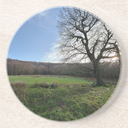 Tree view.. コースター (正面)