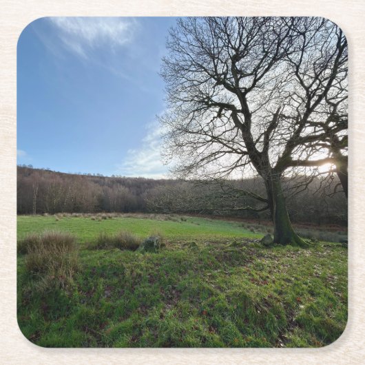 Tree view.. スクエアペーパーコースター (正面)