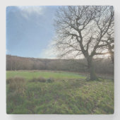 Tree view.. ストーンコースター (正面)