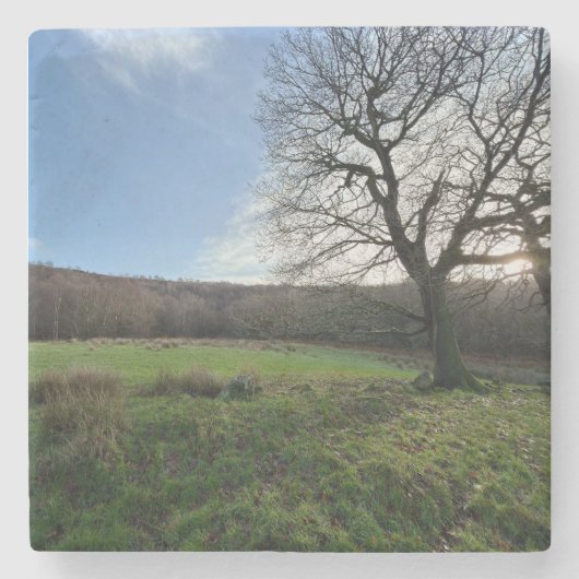 Tree view.. ストーンコースター (正面)