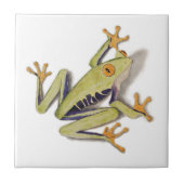 treefrog.jpg タイル (正面)