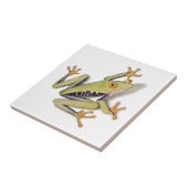 treefrog.jpg タイル (側面)