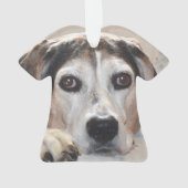 Treeingの歩行者のCoonhoundのハウンドドッグ オーナメント (裏面)