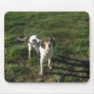 Treeingの歩行者のCoonhoundのマウスパッド マウスパッド
