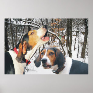 Treeingの歩行者のCoonhoundのSnowyの森ポスター ポスター