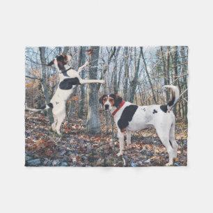 Treeingの歩行者のCoonhoundは森のフリースブランケットの後をつけます フリースブランケット
