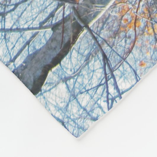 Treeingの歩行者のCoonhoundは森のフリースブランケットの後をつけます フリースブランケット (角)