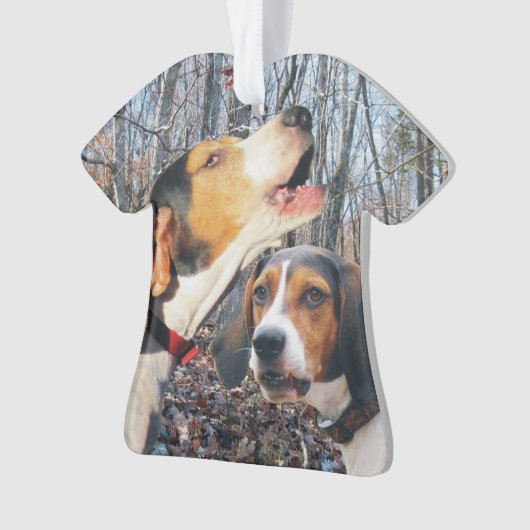 Treeingの歩行者のCoonhound オーナメント (正面)