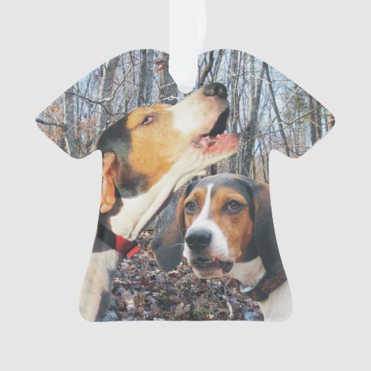 Treeingの歩行者のCoonhound オーナメント (正面)