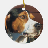 Treeingの歩行者のCoonhound セラミックオーナメント (正面)