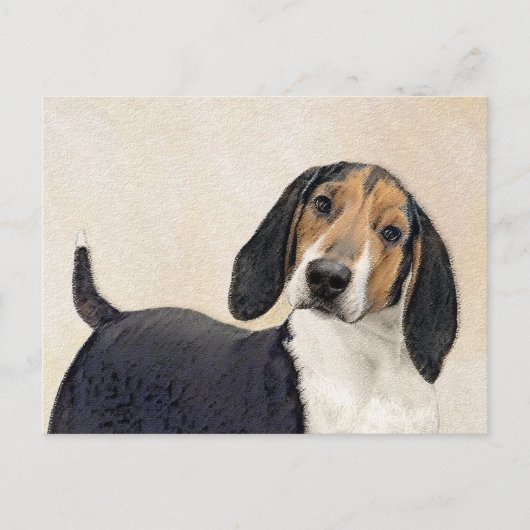 Treeing Walker Conhound's 絵画 -オリジナルアート ポストカード (正面)