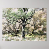 TREES ポスター (正面)