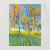 Trees ポストカード (正面)