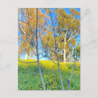 Trees ポストカード