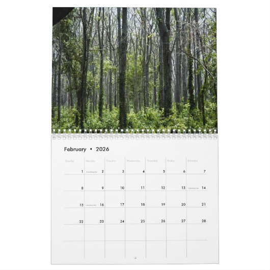 Trees 2026 Calendar カレンダー (2月 2026)