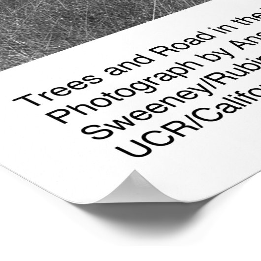 Trees and Road, 1966年2月， Ansel Adams ポスター (角)