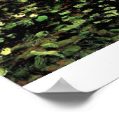 Trees and Undergrowth by Vincent van Gogh ポスター (角)
