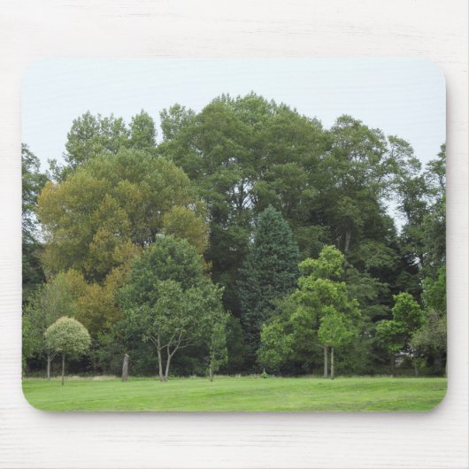 Trees at Bute Park, Cardiff マウスパッド (正面)