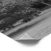 Trees at Bute Park, Cardiff - BW ポスター (角)