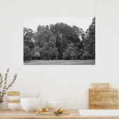 Trees at Bute Park, Cardiff - BW ポスター (キッチン)