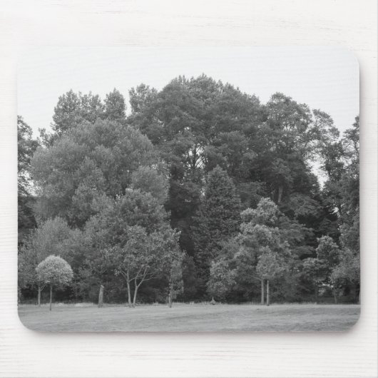 Trees at Bute Park, Cardiff - BW マウスパッド (正面)