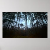 Trees & Fog, ポスター (正面)